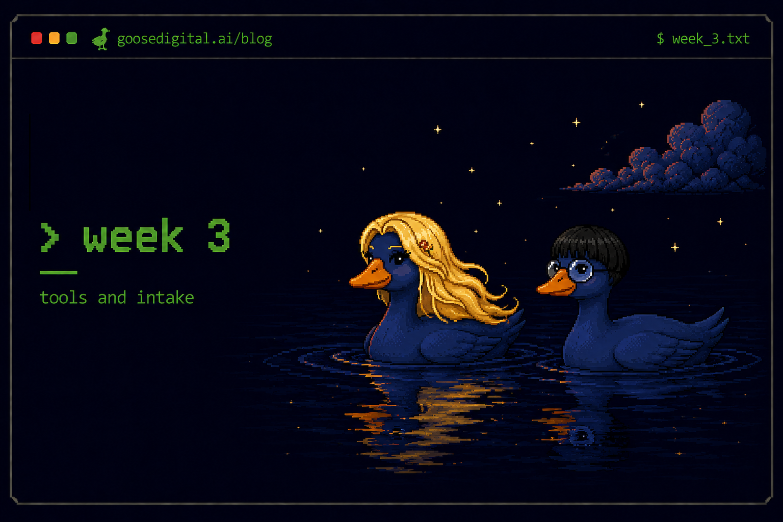 Pixel art terminal interface showing week 3 — tools and intake — with two geese floating on a moonlit lake under a starry night sky